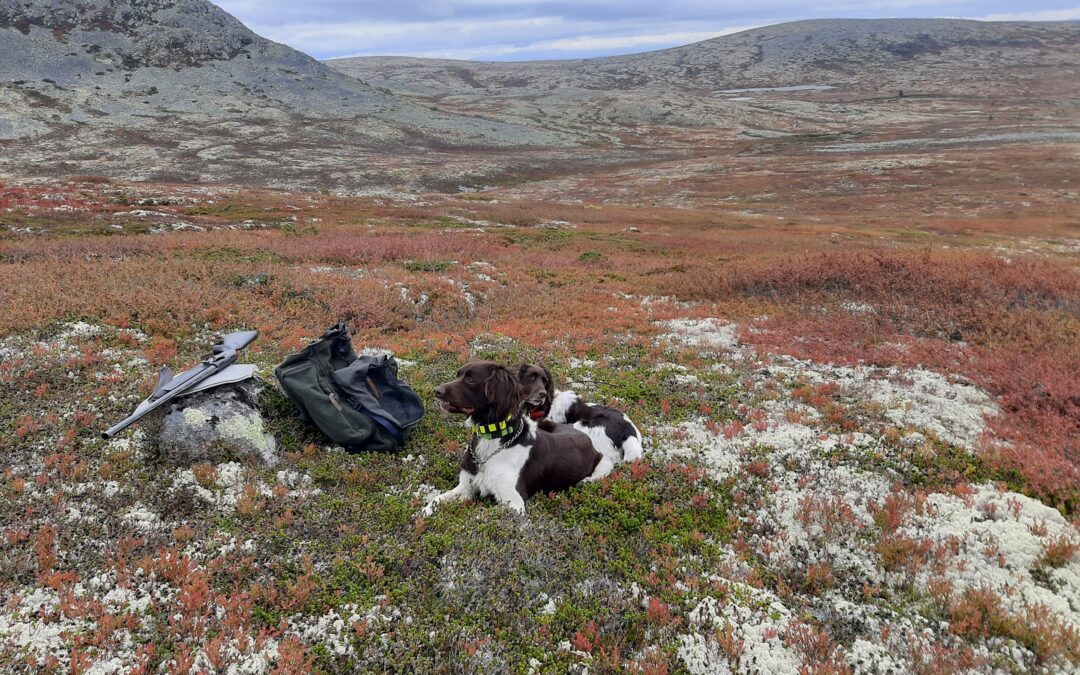 Tur til Norge september 2024